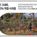 영우농원 이미지