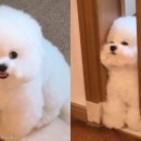 고기좋은친구들 이미지