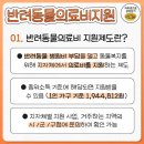 반려동물 의료비 지원 제도(한 마리당 최대 50만원) 이미지