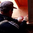 나무시스 이미지