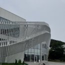 계림 | 경주 플래시백 계림 관람 후기, 영화보다 몰입감 있었던 미디어아트 전시