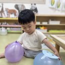 [놀이]26.07.15(수)/동물 오뚝이 풍선놀이, 동물 손가락 그림책, 클레이로 동물 만들기, '누가 누가 더클까?작을까? 동물 그림 이미지