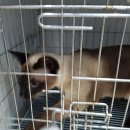 한솔리치빌공원 이미지