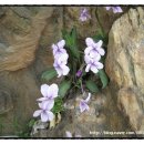 성호농장 이미지