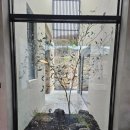 밀리언그라운드 홍천 이미지