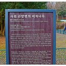 서포시장길 Daum카페