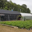 수석농장 이미지