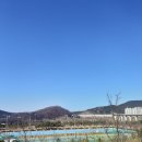 서재체육공원 이미지