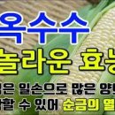 옥수수 효능 옥수수 칼로리 제철 이미지