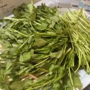 원동역 | 원동역 맛집 수월산방 방문 후기 | 향긋한 미나리삼겹살 제대로 먹고 온 날