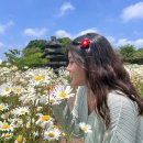 서광초등학교 | 시닙이 워크숍 가다🍊🏝️