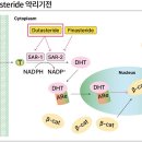 5알파-환원효소를 더 광범위하게 억제 아보다트연질캡슐 0.5mg(Avodart Soft Capsule 0.5mg) 이미지