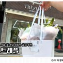 기념일 프로포즈 꽃 고민 끝! 영등포 꽃집 &lt;트레플&gt; 후기💐