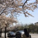 싹뚝머리 Hair