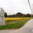 DMZ 평화의 길 8-1코스(우회로) 이미지