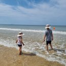 대천해수욕장 이미지