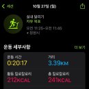 일상운동