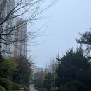 안경과사람들 | [러닝일기]계양천 우중런 11km | 비 오는 날 만난 풍무동 벚꽃터널 러닝 후기🌸☔