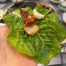 서울뒷고기.막창 | [경주] 경주뒷고기맛집 서울뒷고기막창 인생고기집 발견후기👍