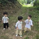 7월 둘째주 생태놀이(여름곤충 관찰하기/매미소리 듣기/자연물 액자놀이/최제우할아버지께 큰절인사 드리기/물놀이/쉼터만들기/흙동산 놀이) 이미지
