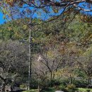 대이리군립공원 이미지