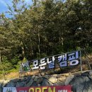 모든날오토캠핑장 이미지