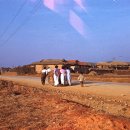 21세기부동산중개사무소 이미지