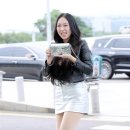 코치(Coach) 카카오 검색결과