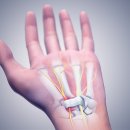 낙성대한의원 이미지