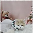 편한미용 이미지