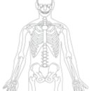 CU 산정라인점 | Ca, P, Fe, Mg, Zn (검사수치 정리)