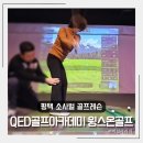 윙스스크린연습장 이미지