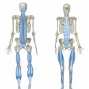 메이드바디 필라테스 이미지