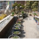 다마내기 이미지