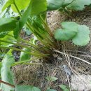 북동농원 이미지