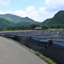 가교1리마을회관 이미지