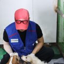 한국동물보호소협회 네이버블로그