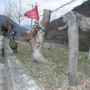 외룡카포스 이미지