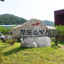 청도패러 이미지