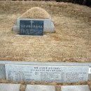 최용신 선생 묘 이미지