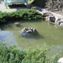 패밀리오토캠핑장 이미지