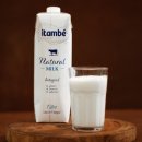 성인 요가 B 이미지