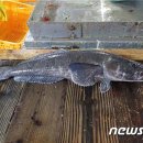 선우실업주