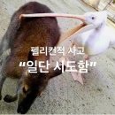 디저트39선봉대점 네네치킨피자선봉대점 | 짜않투않! 짜않투안!