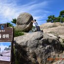 돌산가든 이미지