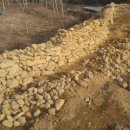 숲속의 돌담 이미지