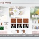 강릉인셀덤