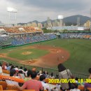 한밭야구장 이미지