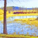 꿈꾸는 나비 이미지