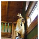 배내골펜션 솔밭휴양림 이미지